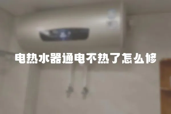 電熱水器通電不熱了怎么修