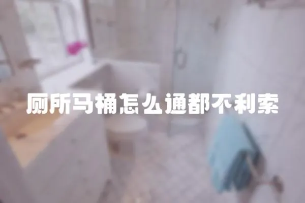 廁所馬桶怎么通都不利索