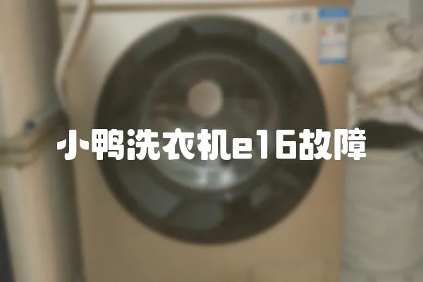 小鴨洗衣機e16故障