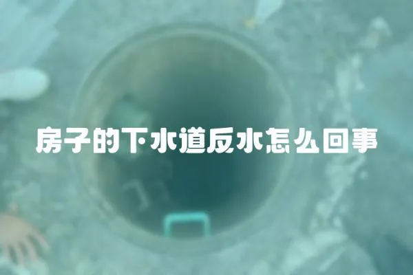 房子的下水道反水怎么回事