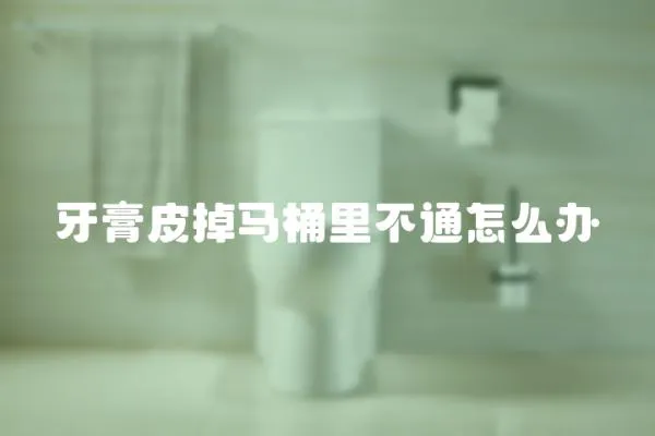 牙膏皮掉馬桶里不通怎么辦