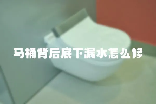 马桶背后底下漏水怎么修