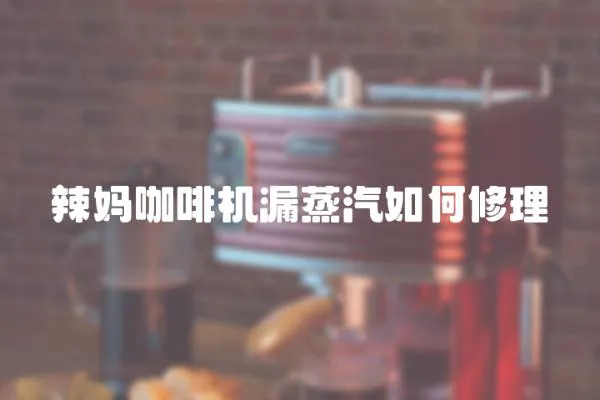 辣媽咖啡機漏蒸汽如何修理