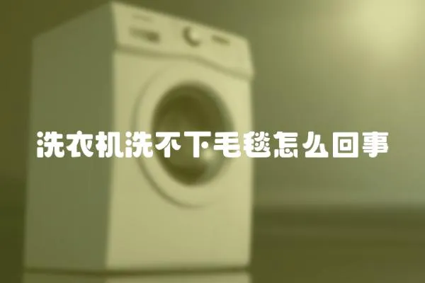 洗衣機洗不下毛毯怎么回事