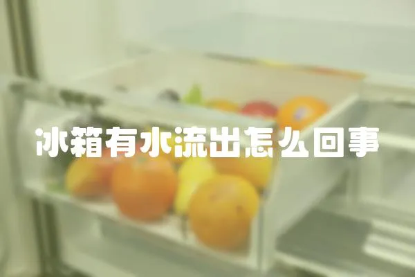 冰箱有水流出怎么回事
