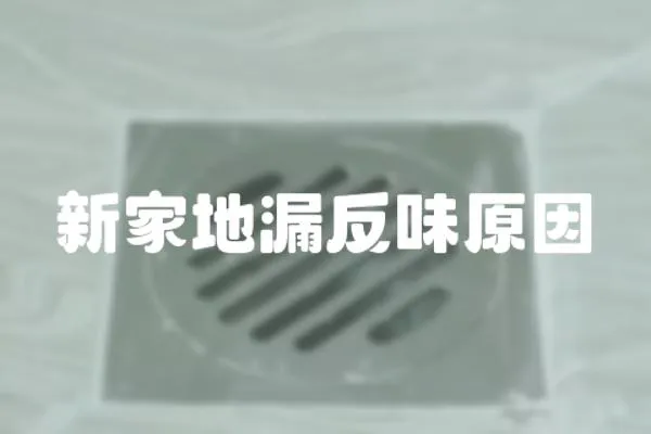 新家地漏反味原因