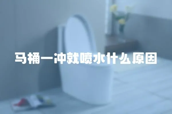 馬桶一沖就噴水什么原因