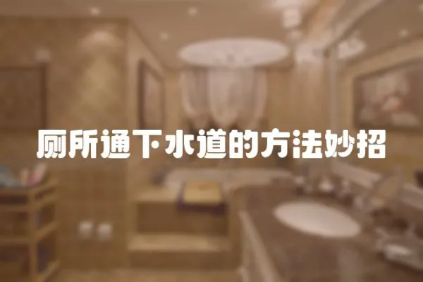 廁所通下水道的方法妙招