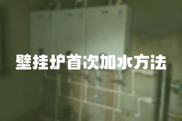 壁掛爐首次加水方法