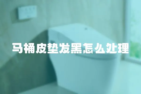 馬桶皮墊發黑怎么處理