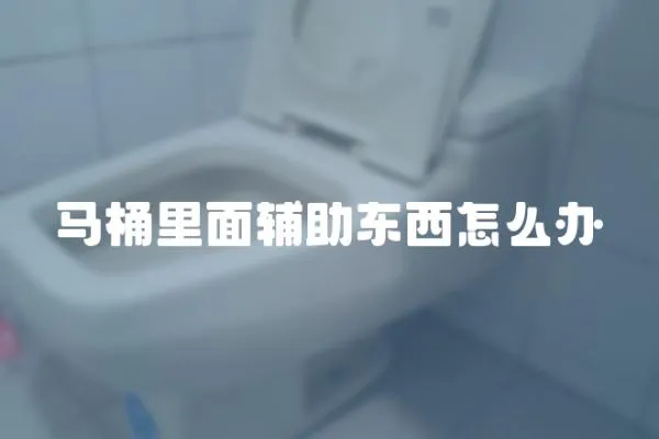 馬桶里面輔助東西怎么辦