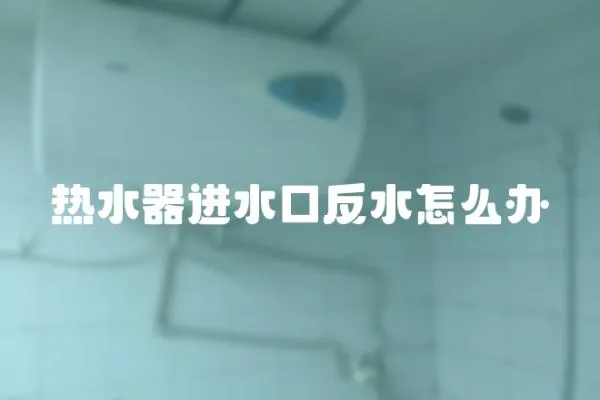 熱水器進(jìn)水口反水怎么辦