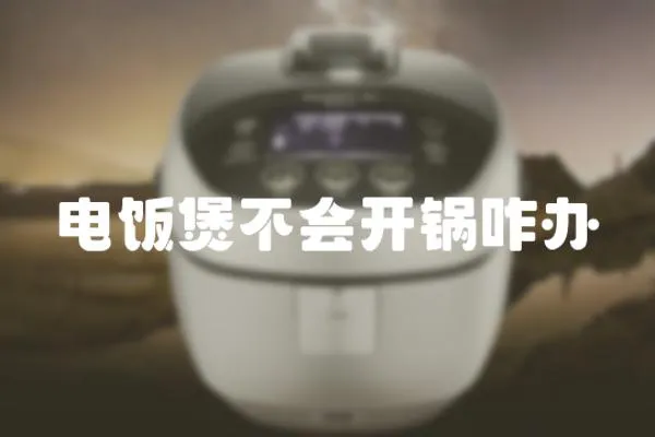 電飯煲不會開鍋咋辦