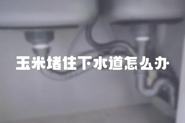 玉米堵住下水道怎么辦