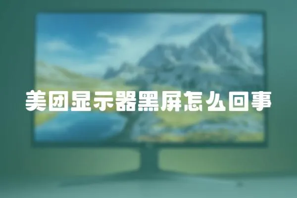 美團顯示器黑屏怎么回事