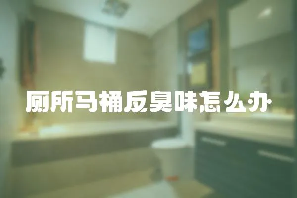 廁所馬桶反臭味怎么辦