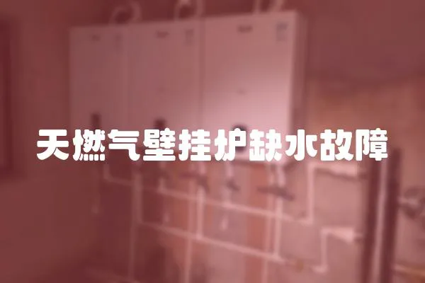 天燃氣壁掛爐缺水故障