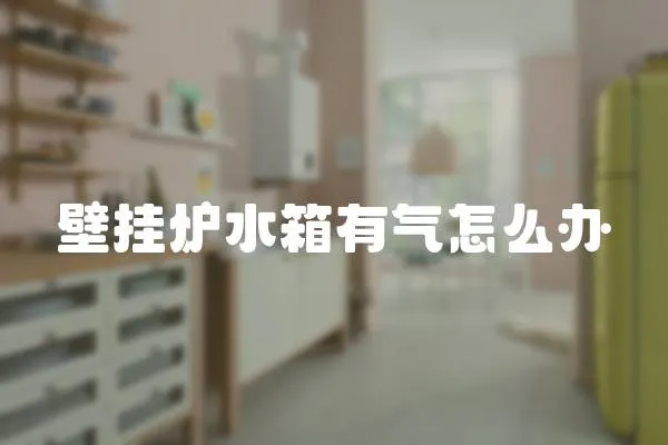 壁掛爐水箱有氣怎么辦