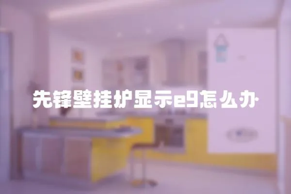 先鋒壁掛爐顯示e9怎么辦