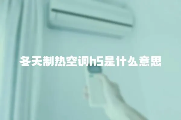 冬天制熱空調(diào)h5是什么意思