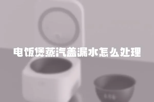 電飯煲蒸汽蓋漏水怎么處理