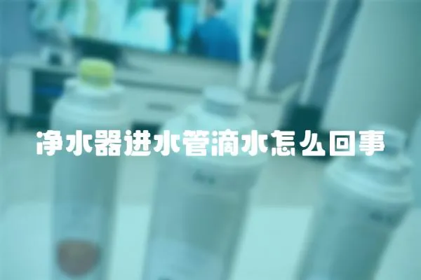 凈水器進水管滴水怎么回事