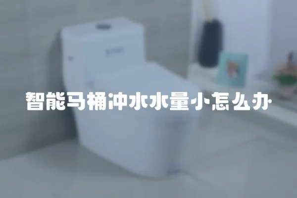 智能馬桶沖水水量小怎么辦
