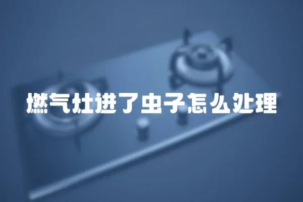 燃氣灶進了蟲子怎么處理