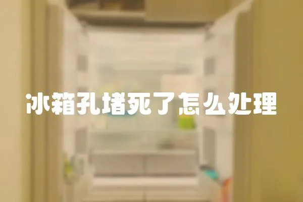 冰箱孔堵死了怎么處理