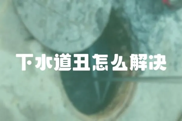 下水道丑怎么解決