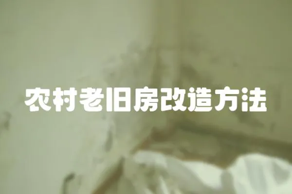 農(nóng)村老舊房改造方法