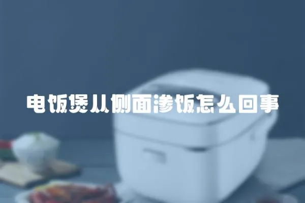 电饭煲从侧面渗饭怎么回事