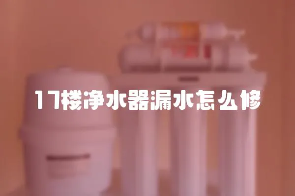 17樓凈水器漏水怎么修