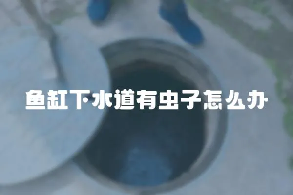 魚缸下水道有蟲子怎么辦