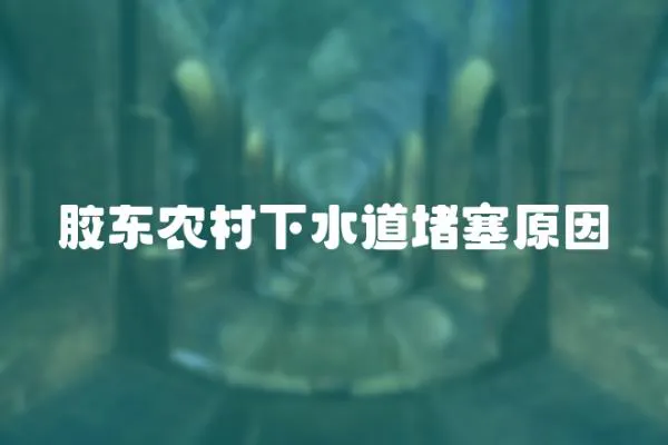 膠東農(nóng)村下水道堵塞原因
