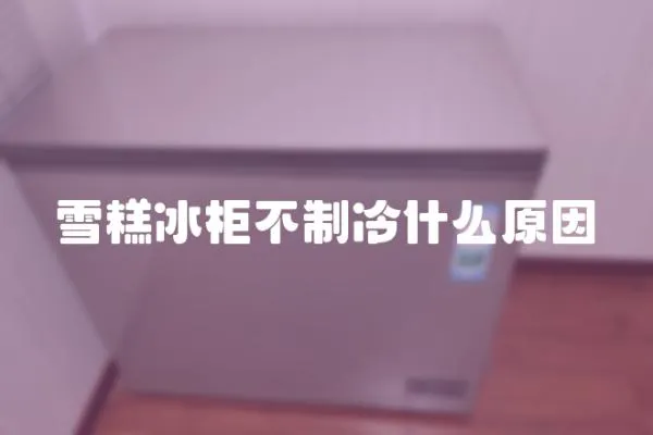 雪糕冰柜不制冷什么原因