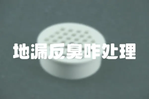 地漏反臭咋處理