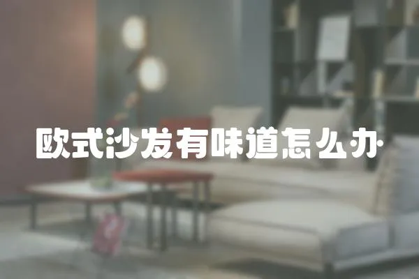 歐式沙發有味道怎么辦