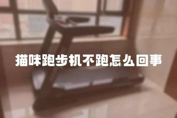 貓咪跑步機不跑怎么回事
