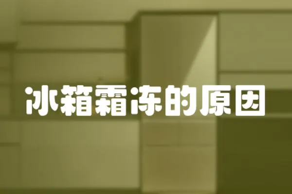 冰箱霜凍的原因