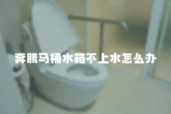 奔騰馬桶水箱不上水怎么辦