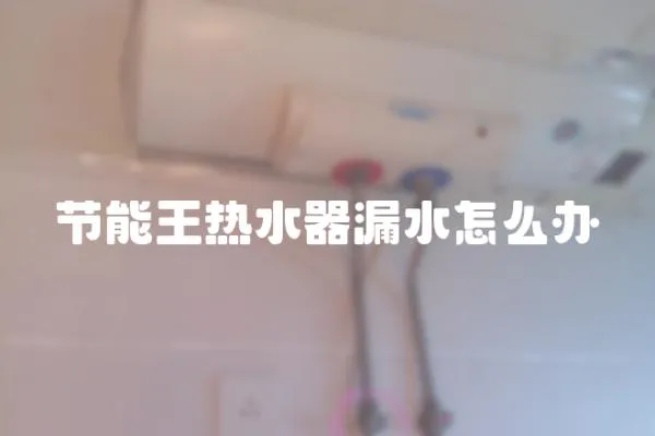 節能王熱水器漏水怎么辦