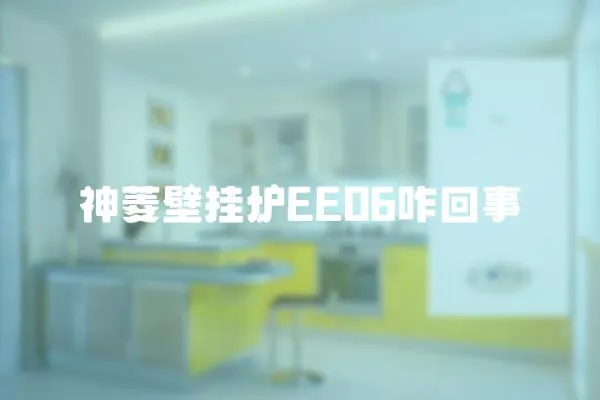 神菱壁掛爐EE06咋回事