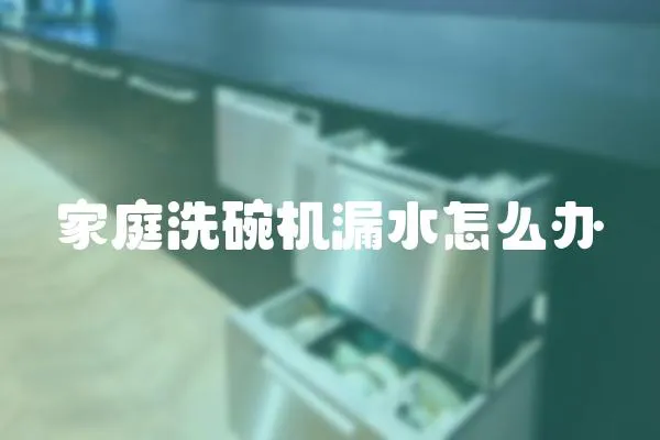 家庭洗碗機漏水怎么辦