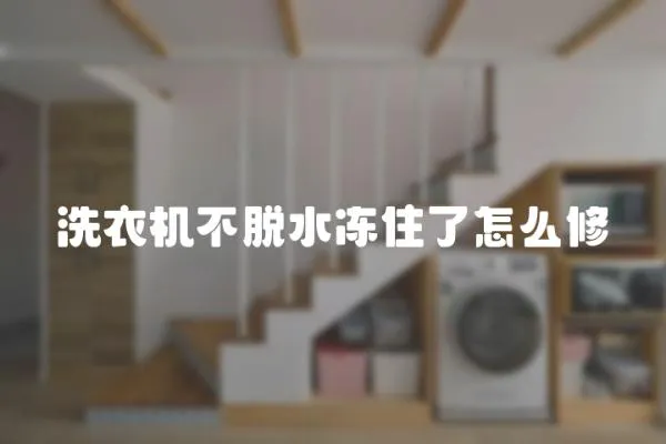 洗衣機(jī)不脫水凍住了怎么修