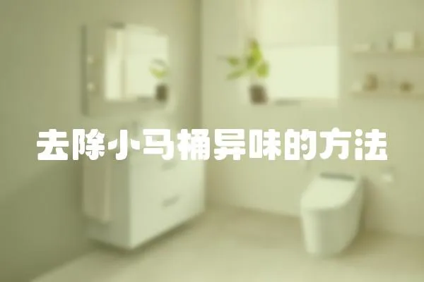 去除小馬桶異味的方法