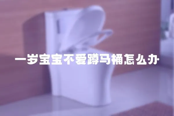 一歲寶寶不愛蹲馬桶怎么辦