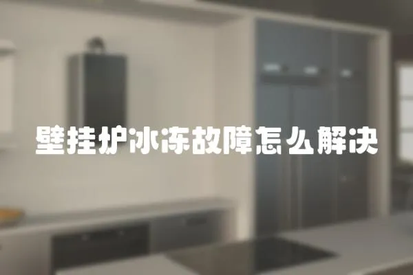 壁掛爐冰凍故障怎么解決