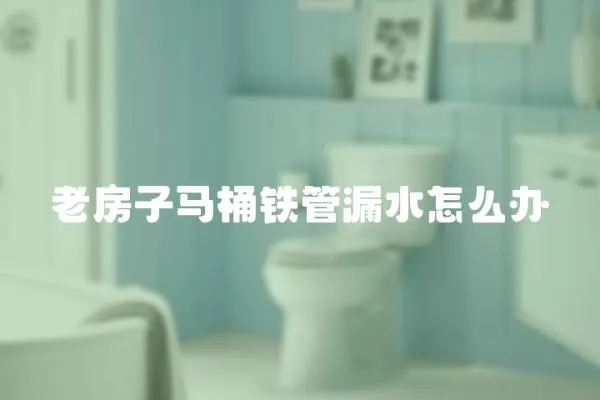 老房子馬桶鐵管漏水怎么辦