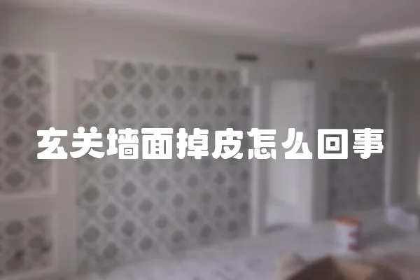 玄關墻面掉皮怎么回事